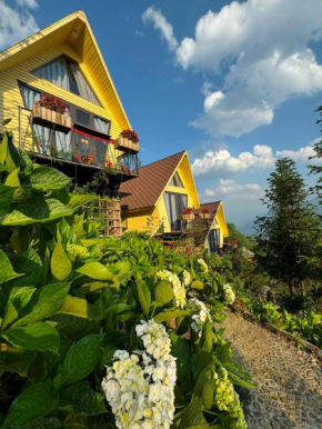 Sunny House Sapa